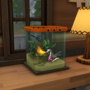 Запись: Официальный блог: Руководство по коллекционированию насекомых в Гранит Фоллз