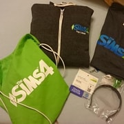 Запись: Панель The Sims 4 на Gamescom — рассказ гостя