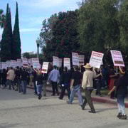 Запись: Разработка The Sims 4 может быть замедлена из-за забастовки актеров озвучки