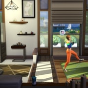 Запись: Факты о каталоге «The Sims 4: Фитнес»