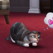 Запись: Трейлер дополнения «The Sims 4: Кошки и собаки»