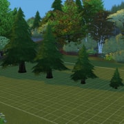 Запись: Что добавят в игру с обновлением перед выходом «Кошек и собак»