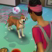 Запись: Жизненные цели и черты характера симов из «The Sims 4: Кошки и собаки»