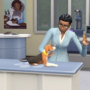 Запись: Откройте собственную ветеринарную клинику!