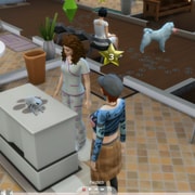 Запись: Обзор трансляции «The Sims 4: Кошки и собаки» о ветеринарной клинике