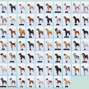 Запись: Список всех пород из дополнения «The Sims 4: Кошки и собаки»