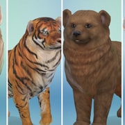 Запись: 12 животных, воссозданных в «The Sims 4: Кошки и собаки»
