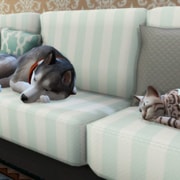 Запись: Обзор дополнения «The Sims 4: Кошки и собаки»