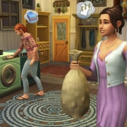 Запись: Официальное описание и ключевые особенности каталога «День стирки»