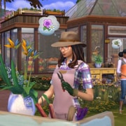 Запись: Навык флористики в «The Sims 4: Времена года»