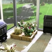 Запись: Больше о грядущем обновлении садоводства в The Sims 4