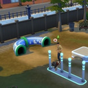 Запись: Дрессировка в «The Sims 4: Кошки и собаки»