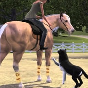 Запись: Слух: «Сельская жизнь» — следующее дополнение для The Sims 4