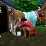 Запись: Трейлер игрового процесса «The Sims 4 Загородная жизнь»