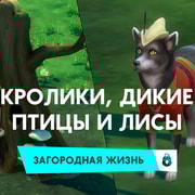 Запись: Кролики, дикие птицы и лисы в «The Sims 4 Загородная жизнь»