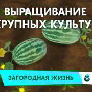 Запись: Крупные культуры в «The Sims 4 Загородная жизнь»