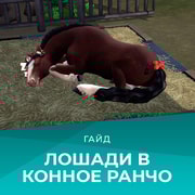 Запись: Лошади в «The Sims 4: Конное ранчо»