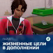 Запись: Жизненные цели в «The Sims 4: Навстречу приключениям»