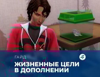 Жизненные цели в «The Sims 4: Навстречу приключениям»