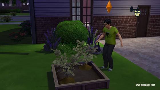 les-sims-4-jardinage