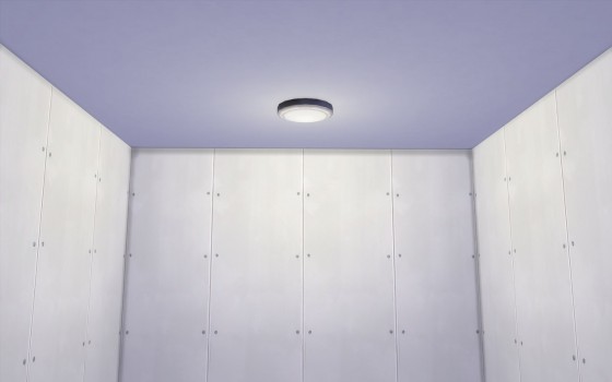 светильник "Изысканное блюдце" за 150 симолеонов