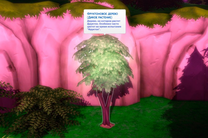 фруктоновое-дерево-в-сильван-глейд-2