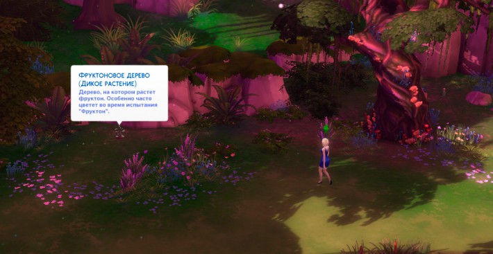 фруктоновое-дерево-в-сильван-глейд