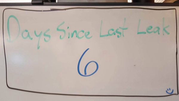 дней спустя последней утечки новостей the sims 4