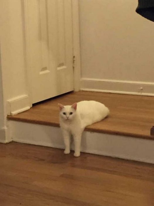 enhanced-7618-1463405561-2