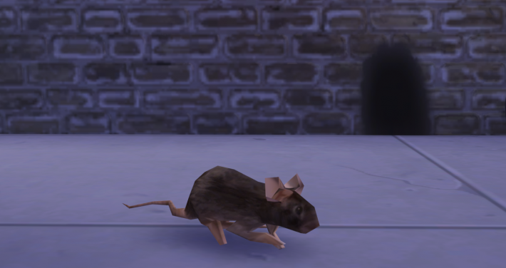 tumblr_og0s75rbel1r30woao1_1280