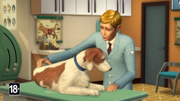 карьера ветиринара