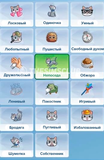 черты характера кошек