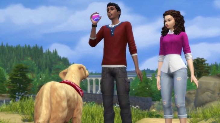 игра в мяч с собакой симс 4