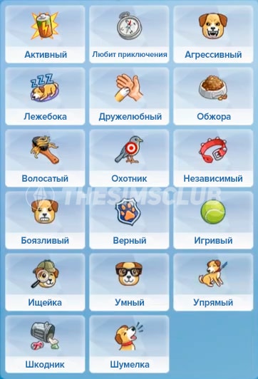 черты характера собак