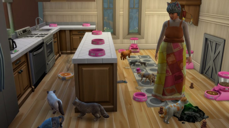 много питомцев в одной семье