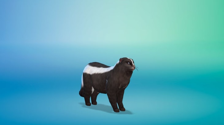 воссозданный в симс 4 скунс