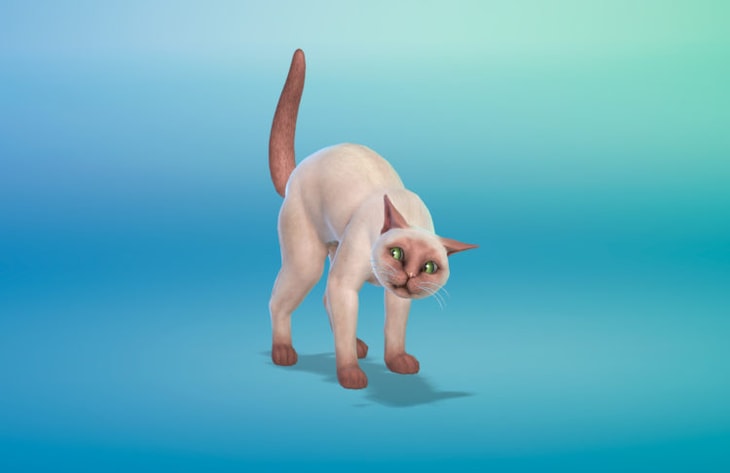 симс 4 питомец постоянно напуган