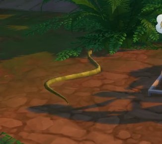 путешествия в джунглях змеи