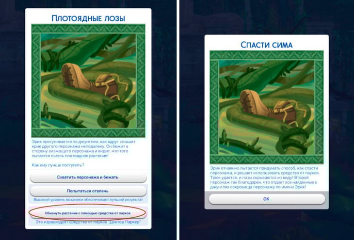 карточки шансов