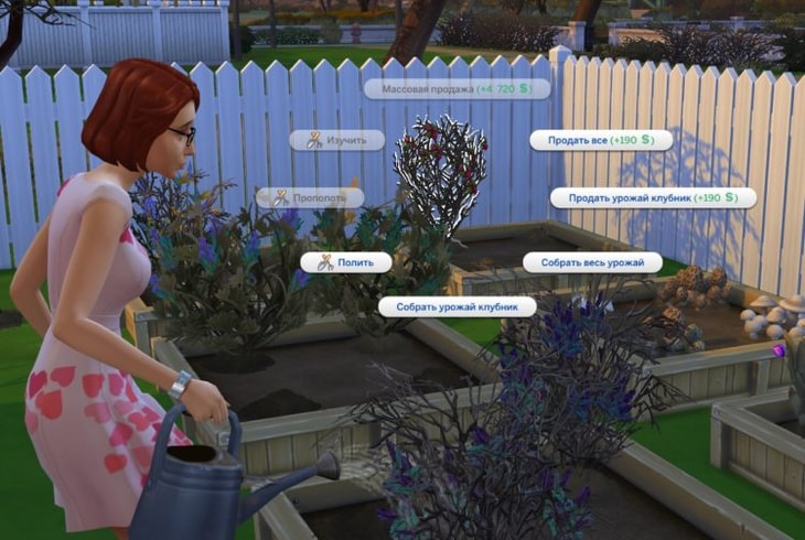 новые действия садоводства