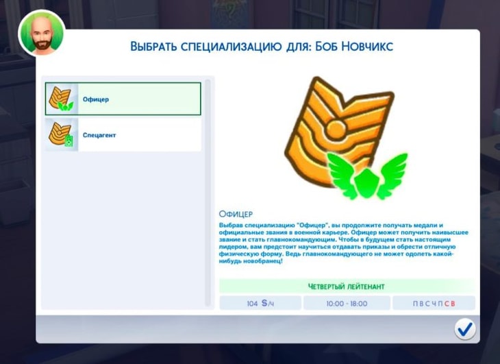 ветка офицер в карьере военного