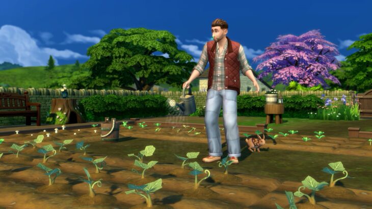 кролик помогает с огородом