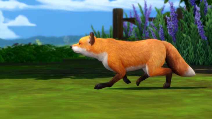 лиса симс 4 загородная жизнь