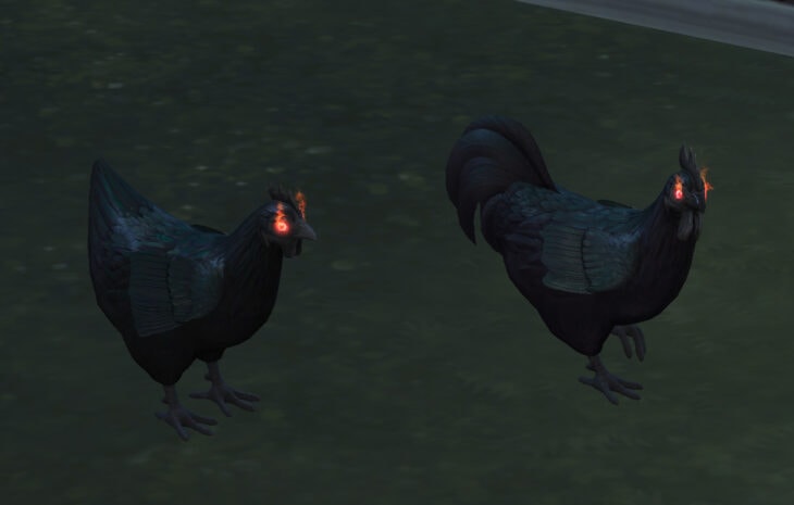 симс 4 загородная жизнь - злобные курицы