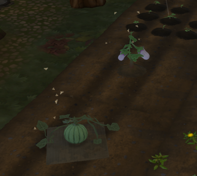 жуки вокруг крупных культур симс 4 загородная жизнь