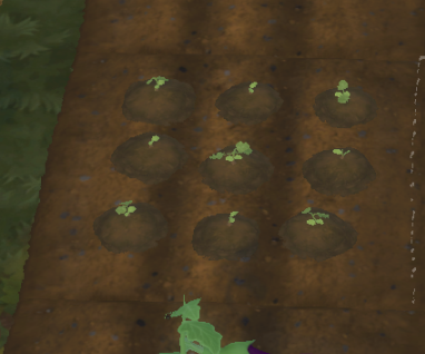 маленькие растения крупных культур