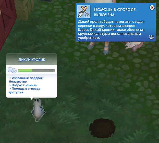 симс 4 загородная жизнь помощь в огороде от кролика