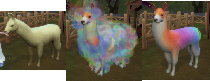 симс 4 загородная жизнь - различные цвета шерсти ламы