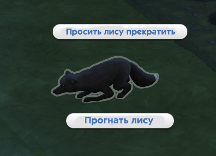 попросить лису прекратить или прогнать