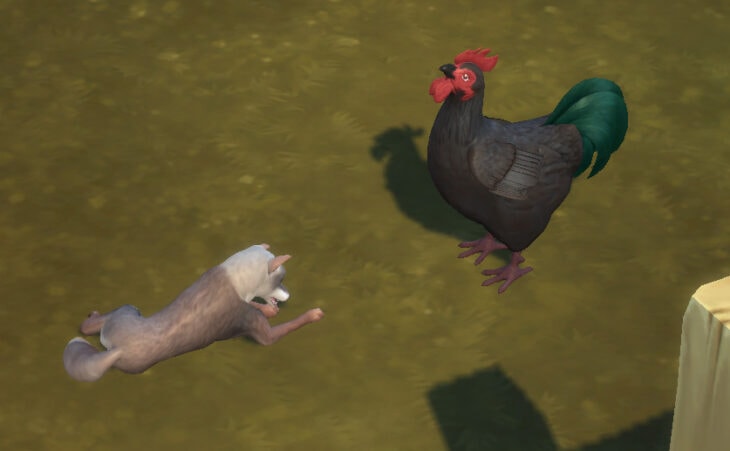 симс 4 загородная жизнь лиса и петух